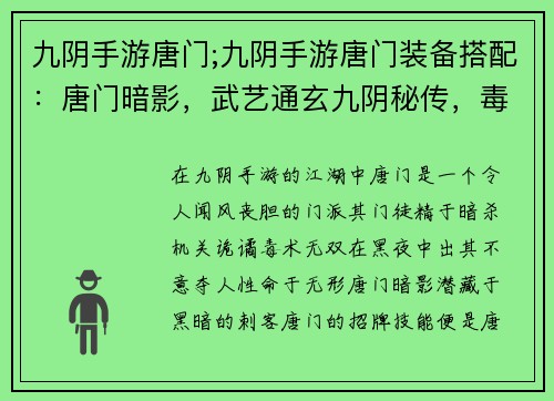 九阴手游唐门;九阴手游唐门装备搭配：唐门暗影，武艺通玄九阴秘传，毒术无双机关诡谲，杀机重重暗夜潜行，出其不意毒物奇袭，致敌厄运